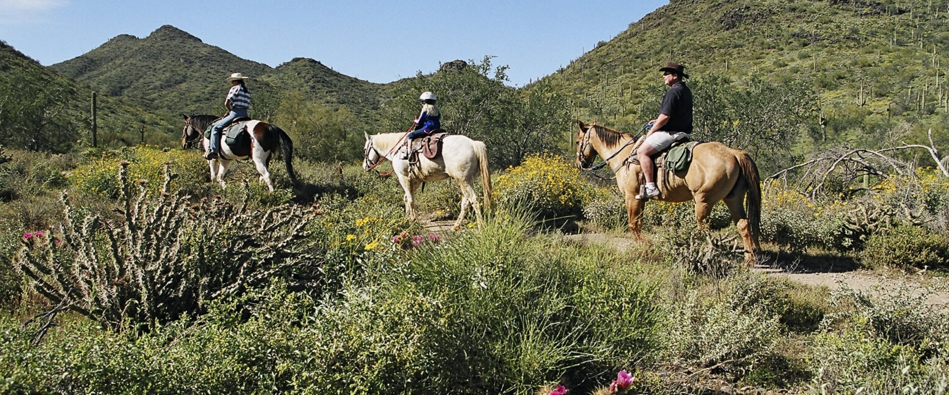7 Popular Day Trips from Maricopa County, AZ - Explore the Grand Canyon and Beyond