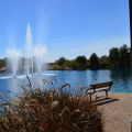 Exploring the Outdoors in Maricopa County, AZ