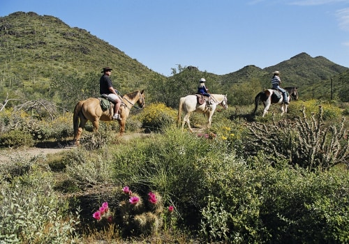 7 Popular Day Trips from Maricopa County, AZ - Explore the Grand Canyon and Beyond